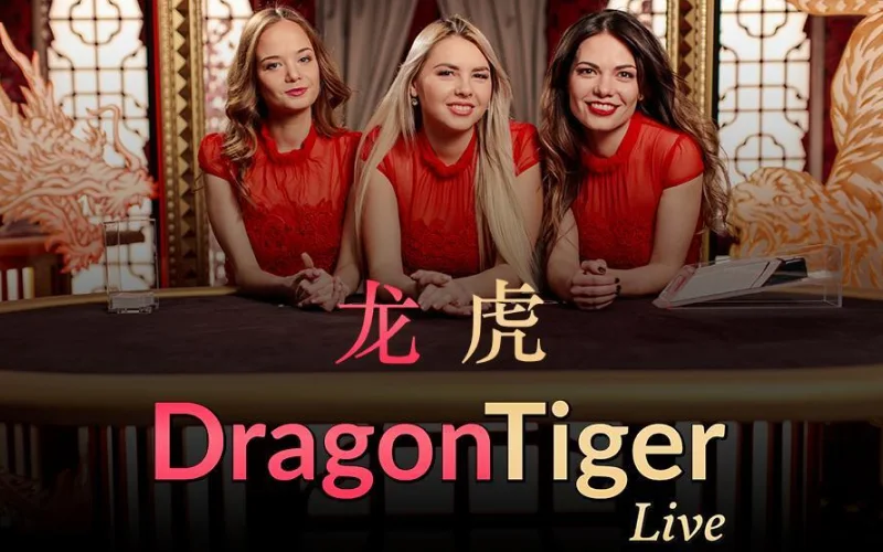Launch Dragon Tiger on DaytonaSpin now for fast two-card live action, and win quick cash payouts.