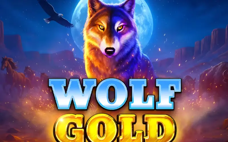 Launch Wolf Gold on DaytonaSpin now, and spin giant stacked reels in the free spins round.